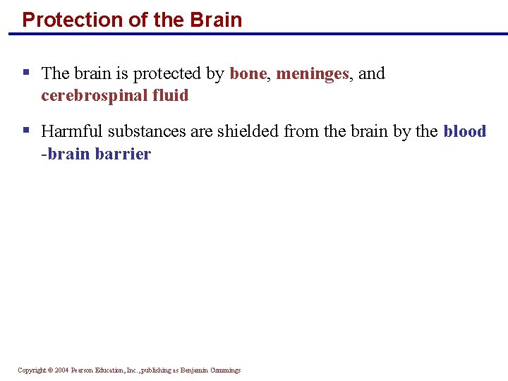 Protection of the Brain § The brain is protected by bone, meninges, and cerebrospinal