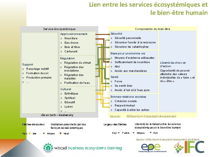 Lien entre les services écosystémiques et le bien-être humain Service écosystémique Approvisionnement ■ Nourriture
