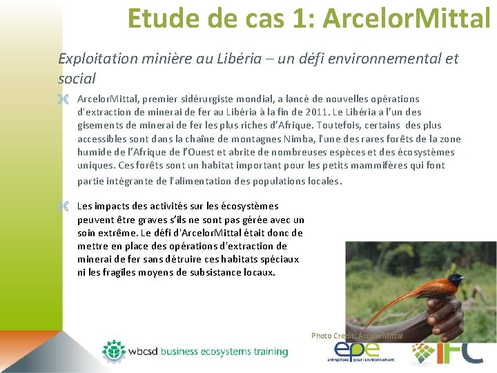 Etude de cas 1: Arcelor. Mittal Exploitation minière au Libéria – un défi environnemental