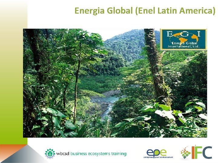 Energia Global (Enel Latin America) 
