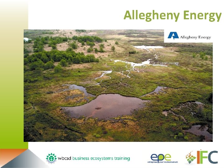 Allegheny Energy 