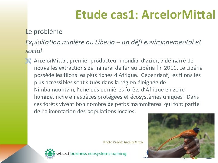 Etude cas 1: Arcelor. Mittal Le problème Exploitation minière au Liberia – un défi