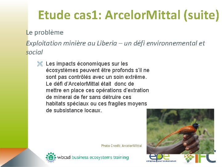 Etude cas 1: Arcelor. Mittal (suite) Le problème Exploitation minière au Liberia – un