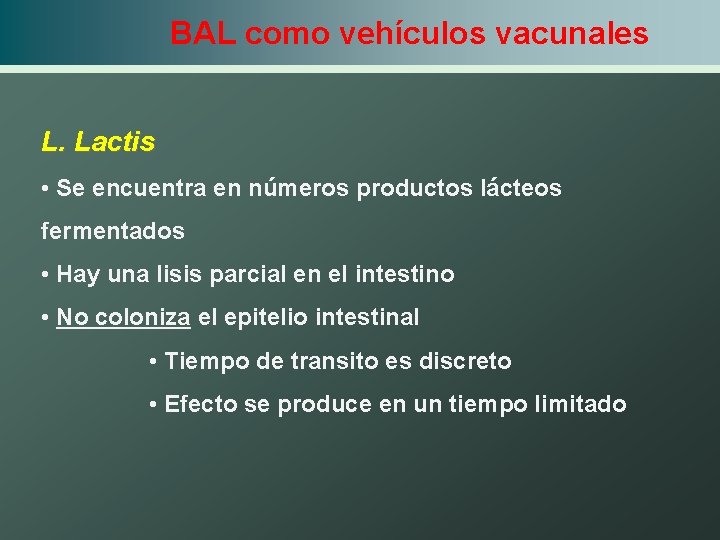 BAL como vehículos vacunales L. Lactis • Se encuentra en números productos lácteos fermentados