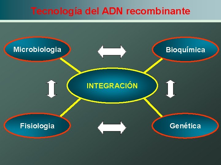 Tecnología del ADN recombinante Microbiologia Bioquímica INTEGRACIÓN Fisiologia Genética 