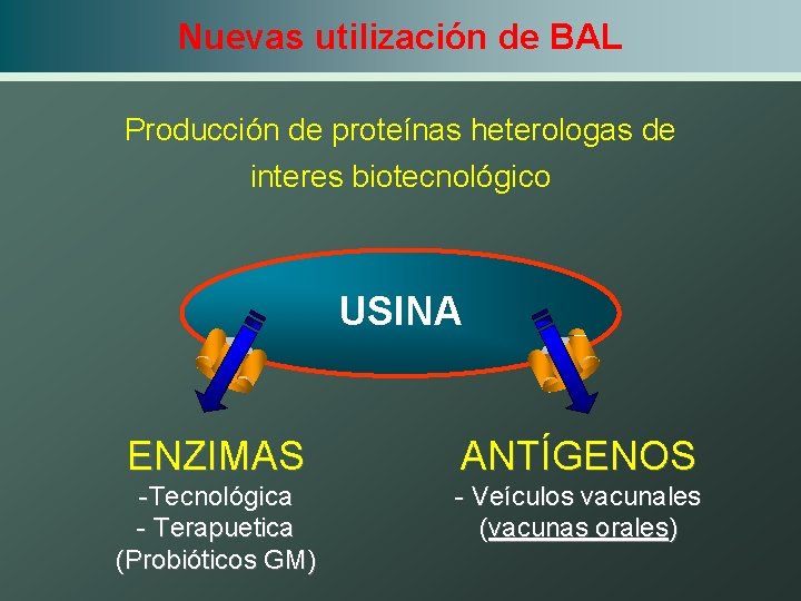 Nuevas utilización de BAL Producción de proteínas heterologas de interes biotecnológico USINA ENZIMAS ANTÍGENOS