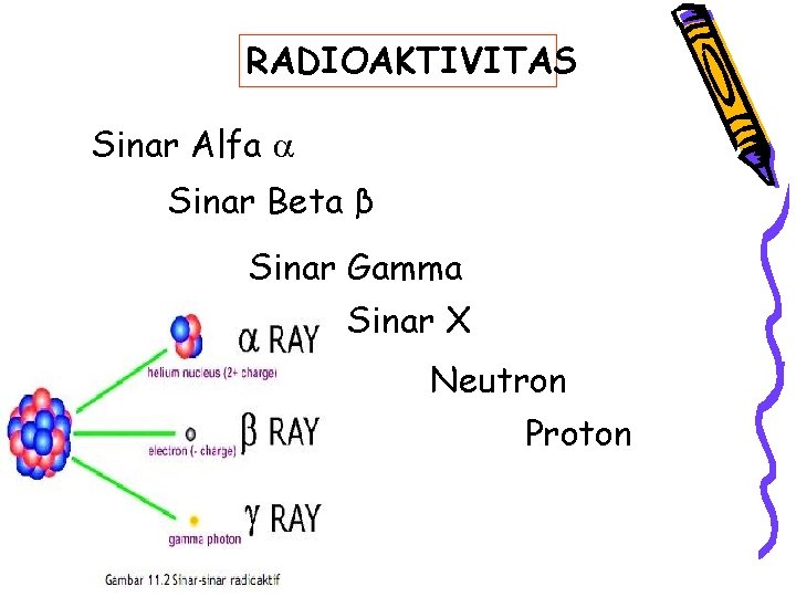 RADIOAKTIVITAS Sinar Alfa Sinar Beta β Sinar Gamma Sinar X Neutron Proton 