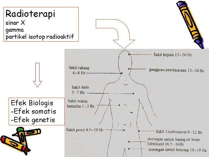 Radioterapi sinar X gamma partikel isotop radioaktif Efek Biologis -Efek somatis -Efek genetis 