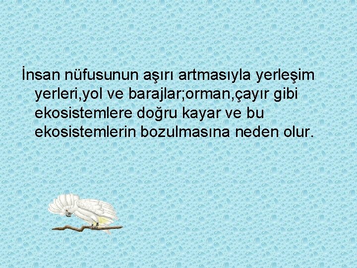 İnsan nüfusunun aşırı artmasıyla yerleşim yerleri, yol ve barajlar; orman, çayır gibi ekosistemlere doğru