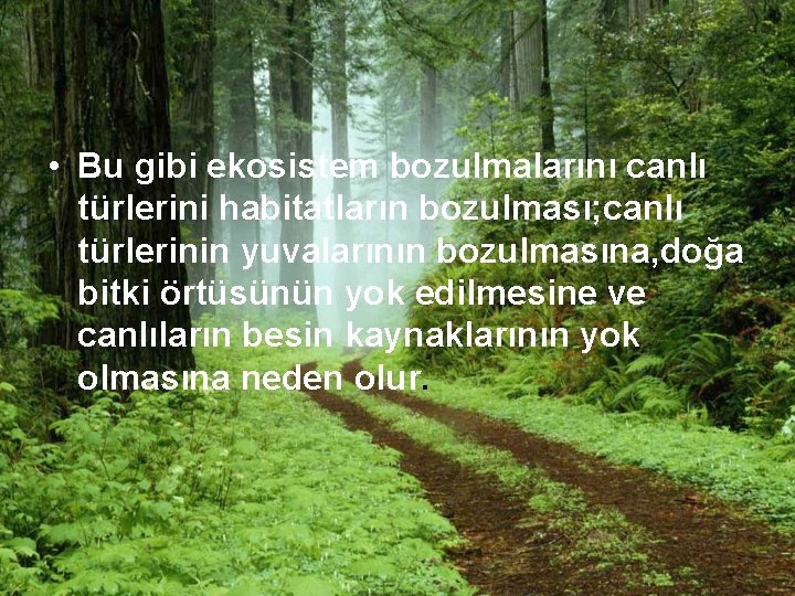  • Bu gibi ekosistem bozulmalarını canlı türlerini habitatların bozulması; canlı türlerinin yuvalarının bozulmasına,