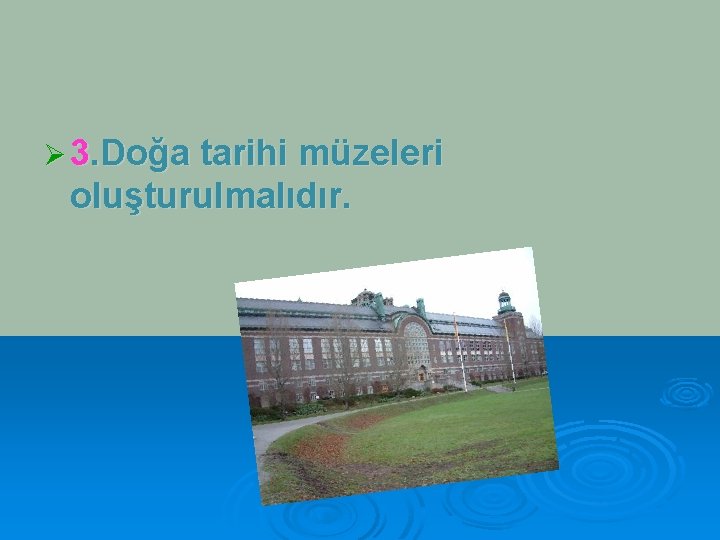 Ø 3. Doğa tarihi müzeleri oluşturulmalıdır. 