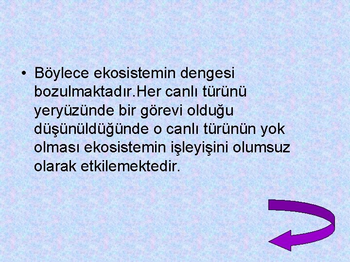  • Böylece ekosistemin dengesi bozulmaktadır. Her canlı türünü yeryüzünde bir görevi olduğu düşünüldüğünde