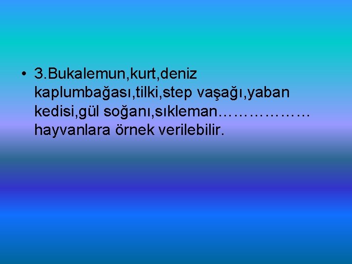  • 3. Bukalemun, kurt, deniz kaplumbağası, tilki, step vaşağı, yaban kedisi, gül soğanı,