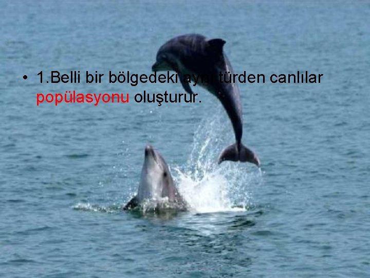  • 1. Belli bir bölgedeki aynı türden canlılar popülasyonu oluşturur. 