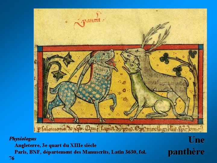 Physiologus Angleterre, 3 e quart du XIIIe siècle Paris, BNF, département des Manuscrits, Latin Physiologus Angleterre, 3 e quart du XIIIe siècle Paris, BNF, département des Manuscrits, Latin