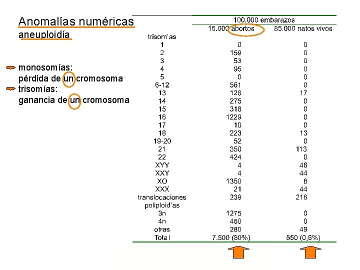 Anomalías numéricas aneuploidía monosomías: pérdida de un cromosoma trisomías: ganancia de un cromosoma 