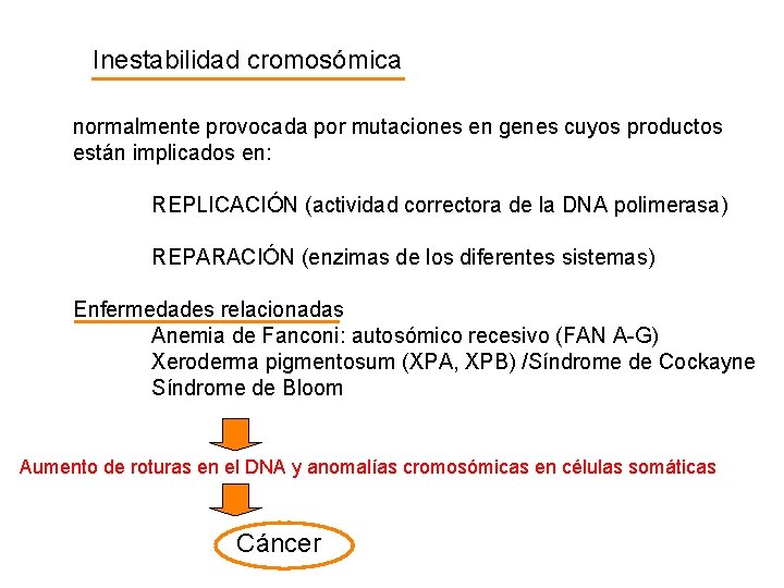 Inestabilidad cromosómica normalmente provocada por mutaciones en genes cuyos productos están implicados en: REPLICACIÓN