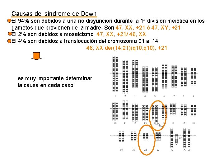 Causas del síndrome de Down El 94% son debidos a una no disyunción durante