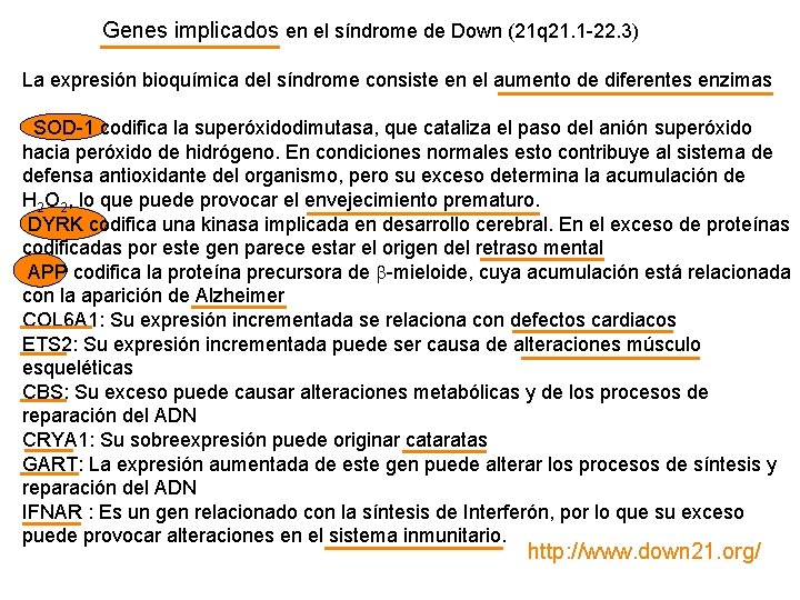 Genes implicados en el síndrome de Down (21 q 21. 1 -22. 3) La