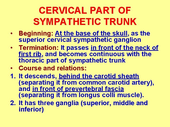 CERVICAL PART OF SYMPATHETIC TRUNK • Beginning: At the base of the skull, as