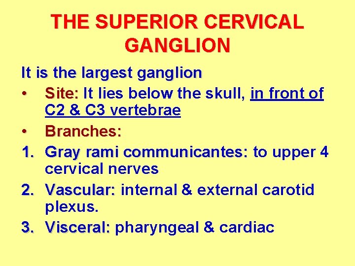 THE SUPERIOR CERVICAL GANGLION It is the largest ganglion • Site: It lies below