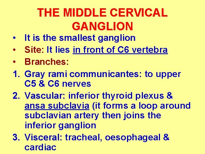  • • • 1. THE MIDDLE CERVICAL GANGLION It is the smallest ganglion