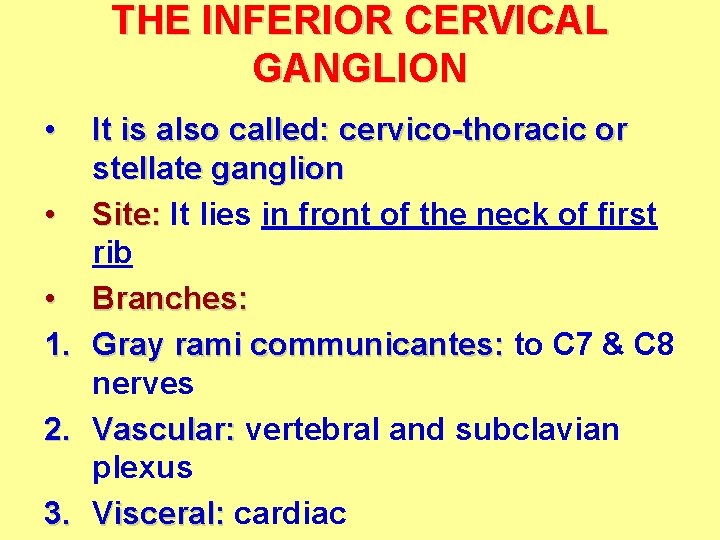 THE INFERIOR CERVICAL GANGLION • • • 1. 2. 3. It is also called: