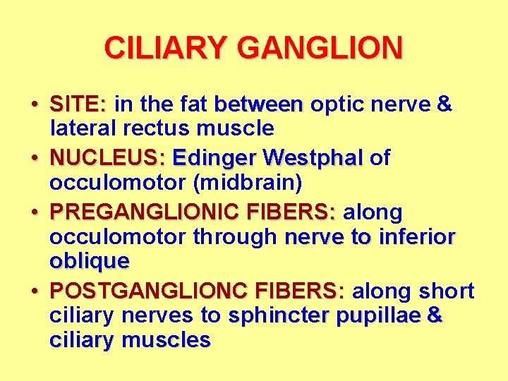 CILIARY GANGLION • SITE: in the fat between optic nerve & lateral rectus muscle