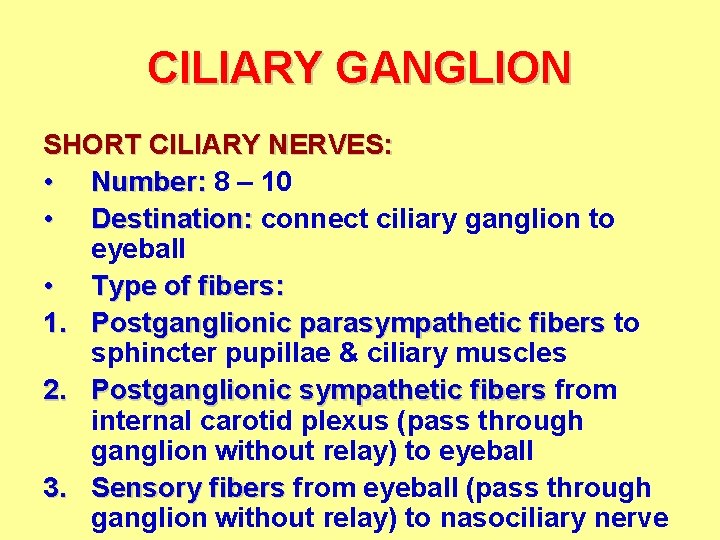 CILIARY GANGLION SHORT CILIARY NERVES: • Number: 8 – 10 • Destination: connect ciliary