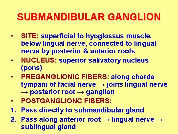 SUBMANDIBULAR GANGLION • SITE: superficial to hyoglossus muscle, muscle below lingual nerve, connected to