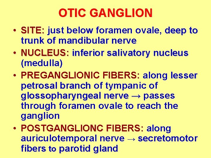 OTIC GANGLION • SITE: just below foramen ovale, deep to trunk of mandibular nerve