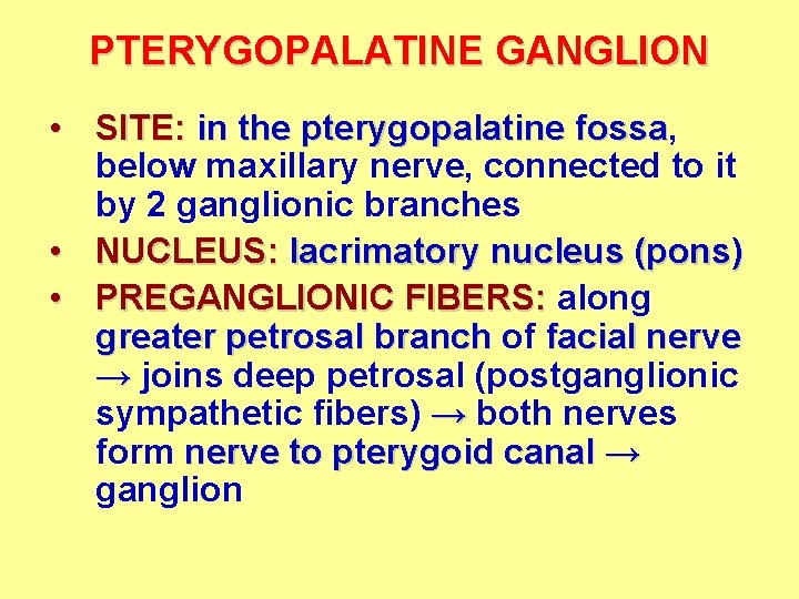 PTERYGOPALATINE GANGLION • SITE: in the pterygopalatine fossa, fossa below maxillary nerve, connected to