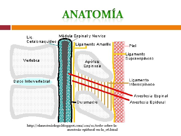 http: //elanestesiologo. blogspot. com/2011/02/todo-sobre-laanestesia-epidural-en-la_06. html 