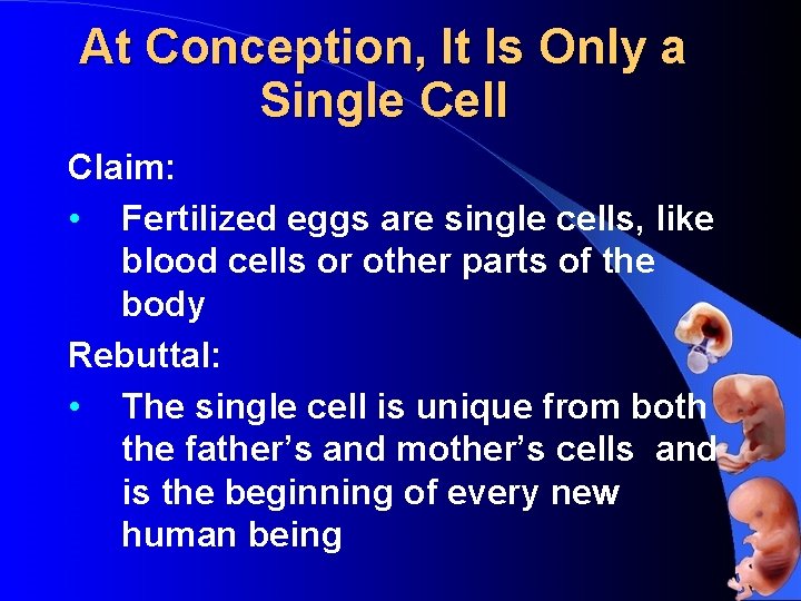 At Conception, It Is Only a Single Cell Claim: • Fertilized eggs are single
