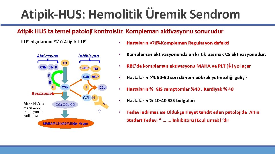 Atipik-HUS: Hemolitik Üremik Sendrom Atipik HUS ta temel patoloji kontrolsüz Kompleman aktivasyonu sonucudur HUS