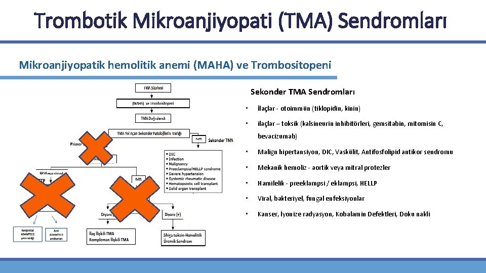 Trombotik Mikroanjiyopati (TMA) Sendromları Mikroanjiyopatik hemolitik anemi (MAHA) ve Trombositopeni Sekonder TMA Sendromları •