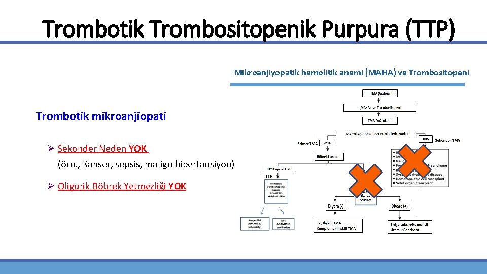 Trombotik Trombositopenik Purpura (TTP) Mikroanjiyopatik hemolitik anemi (MAHA) ve Trombositopeni Trombotik mikroanjiopati Ø Sekonder
