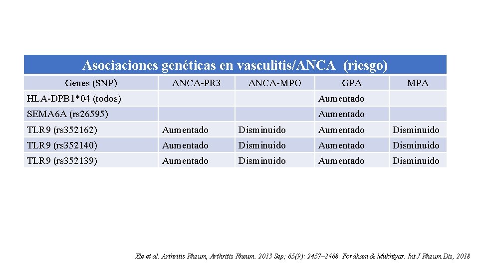 Asociaciones genéticas en vasculitis/ANCA (riesgo) Genes (SNP) ANCA-PR 3 ANCA-MPO GPA HLA-DPB 1*04 (todos)