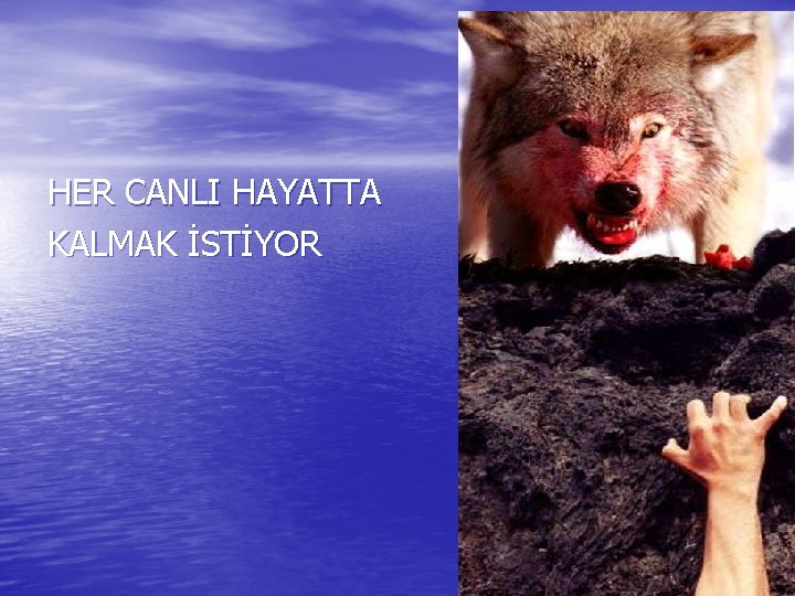 HER CANLI HAYATTA KALMAK İSTİYOR 