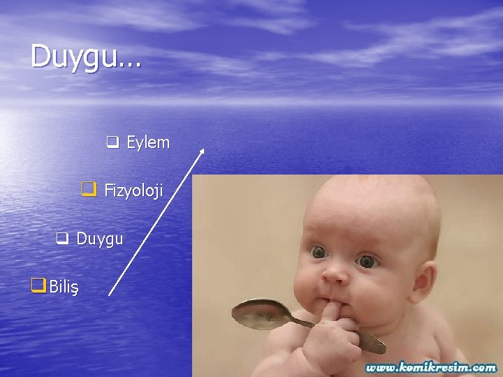 Duygu… q Eylem q Fizyoloji q Duygu q Biliş 