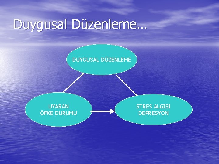 Duygusal Düzenleme… DUYGUSAL DÜZENLEME UYARAN ÖFKE DURUMU STRES ALGISI DEPRESYON 