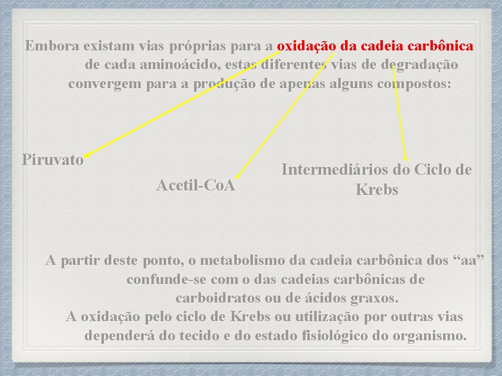 Embora existam vias próprias para a oxidação da cadeia carbônica de cada aminoácido, estas