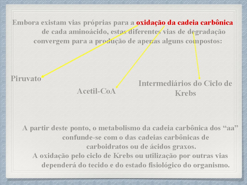Embora existam vias próprias para a oxidação da cadeia carbônica de cada aminoácido, estas