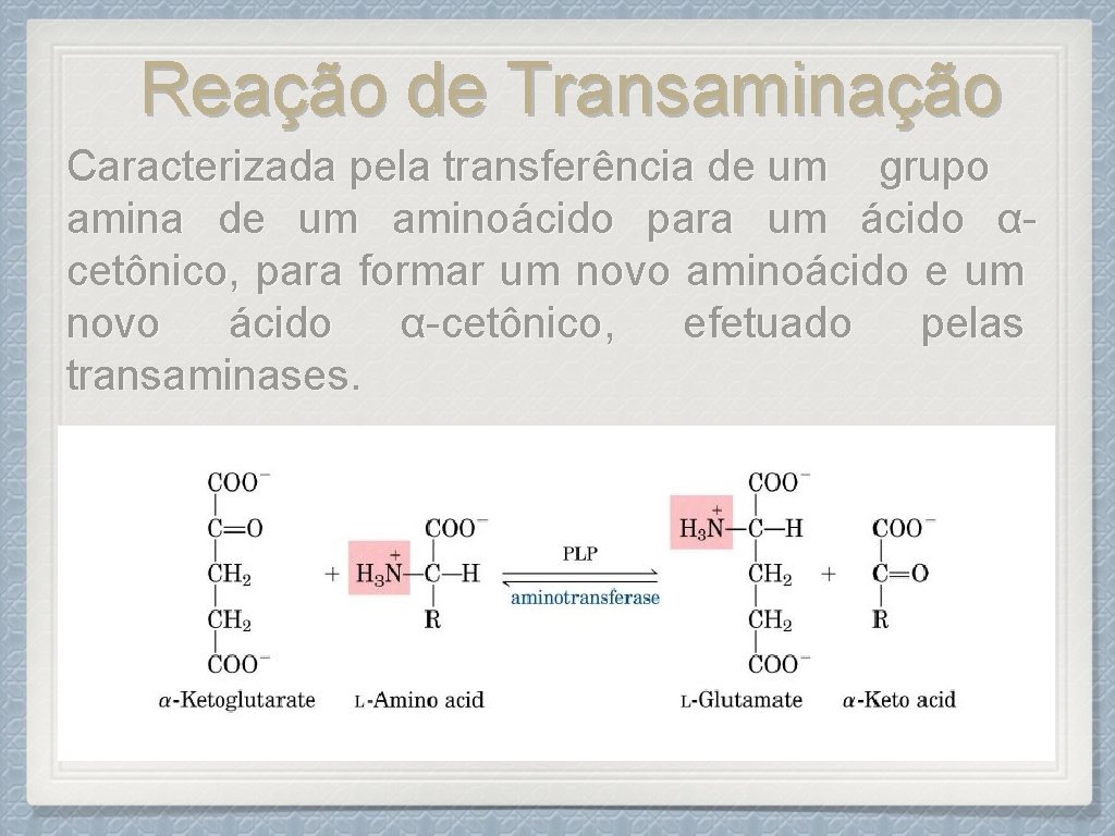 Reação de Transaminação Caracterizada pela transferência de um grupo amina de um aminoácido para