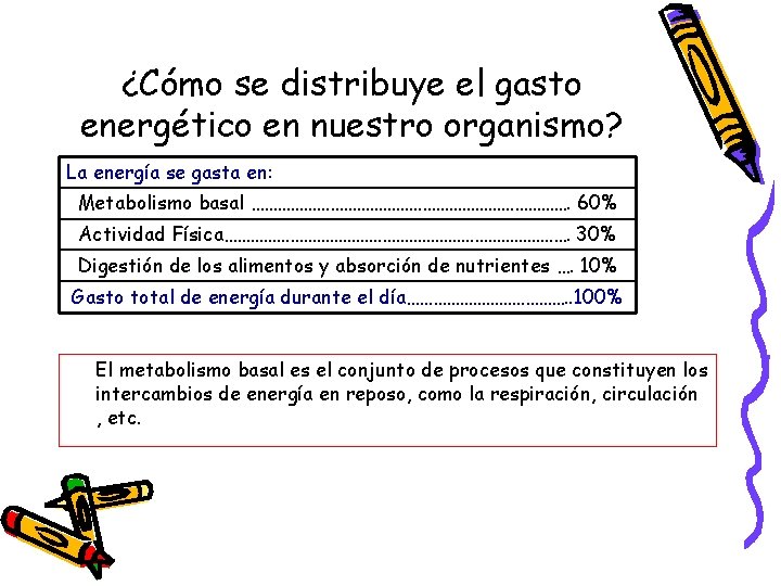 ¿Cómo se distribuye el gasto energético en nuestro organismo? La energía se gasta en: