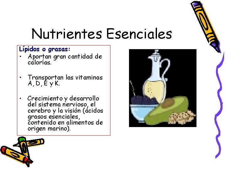 Nutrientes Esenciales Lípidos o grasas: • Aportan gran cantidad de calorías. • Transportan las