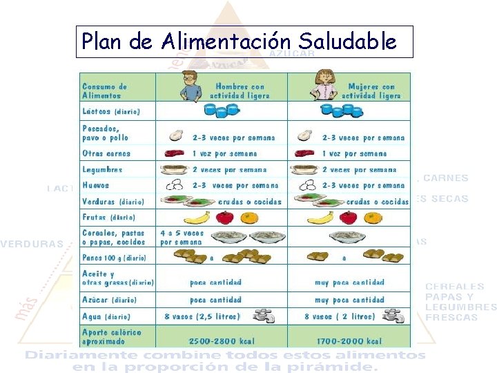 Plan de Alimentación Saludable 