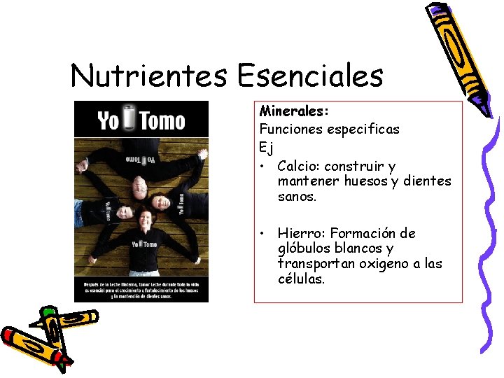 Nutrientes Esenciales Minerales: Funciones especificas Ej • Calcio: construir y mantener huesos y dientes