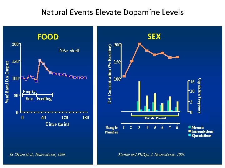 Natural Events Elevate Dopamine Levels SEX FOOD % of Basal DA Output NAc shell