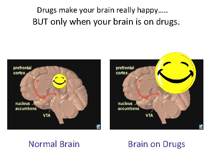 Drugs make your brain really happy…. . BUT only when your brain is on